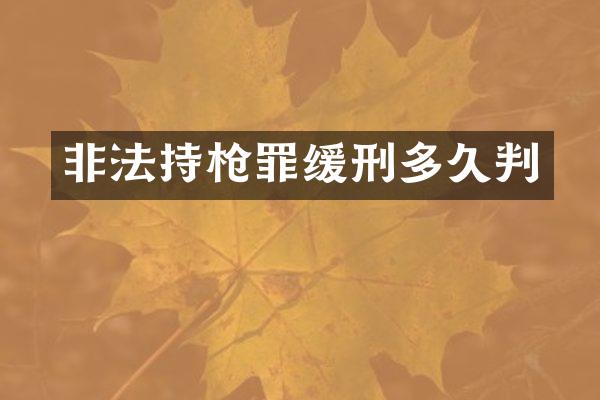 非法持罪缓刑多久判