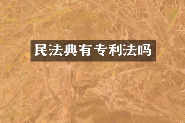 民法典有专利法吗