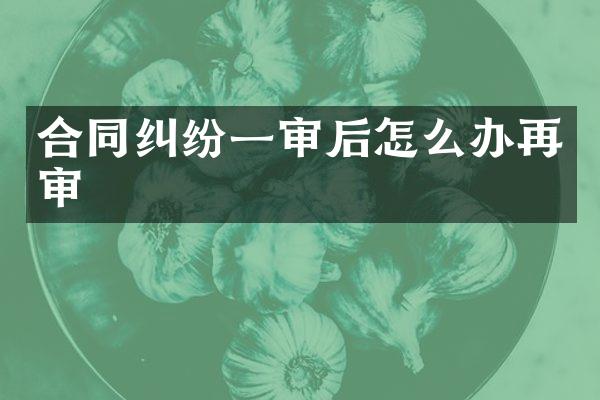 合同纠纷一审后怎么办再审