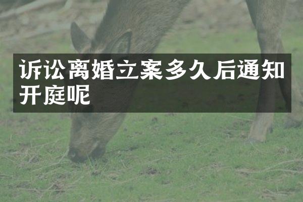诉讼离婚立案多久后通知开庭呢