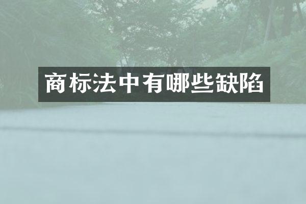 商标法中有哪些缺陷