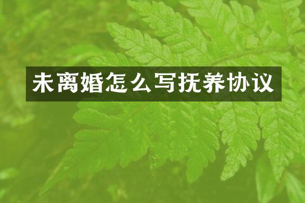 未离婚怎么写抚养协议