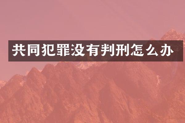 共同犯罪没有判刑怎么办