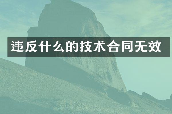 违反什么的技术合同无效