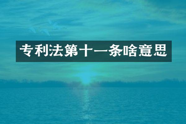 专利法第十一条啥意思