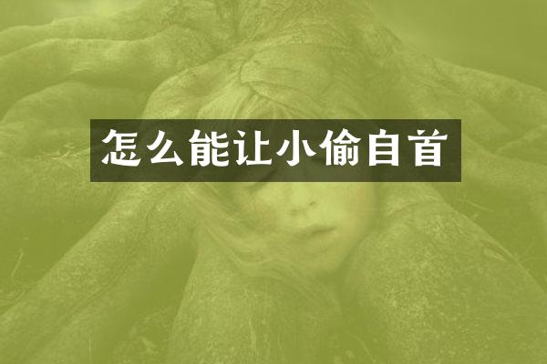 怎么能让小偷自首