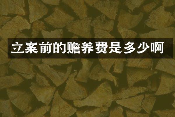 立案前的赡养费是多少啊