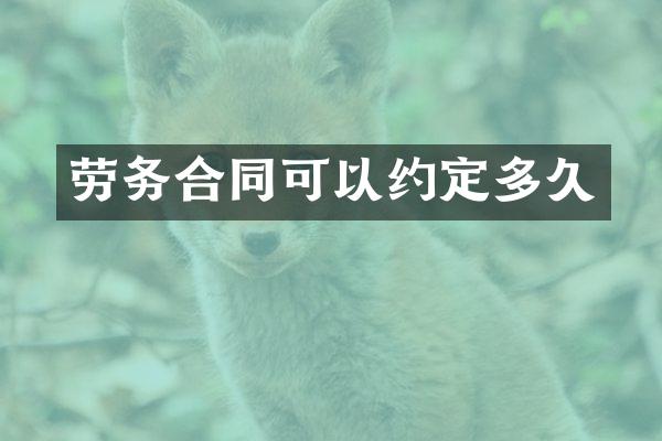 劳务合同可以约定多久
