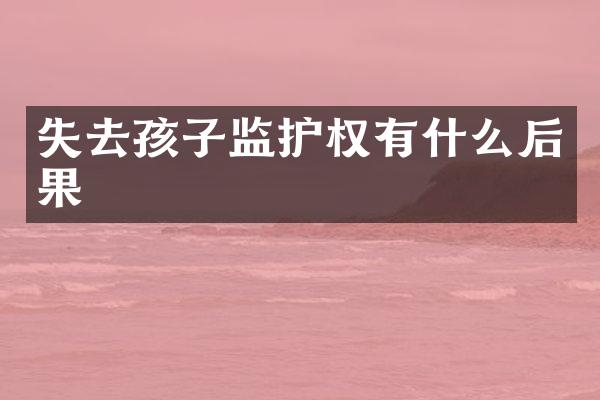 失去孩子监护权有什么后果