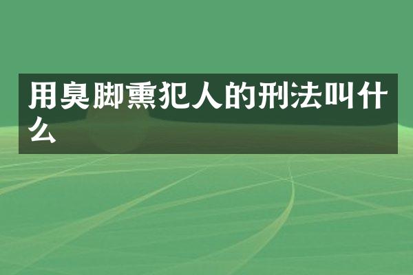 用臭脚熏犯人的刑法叫什么