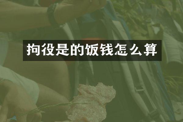 拘役是的饭钱怎么算