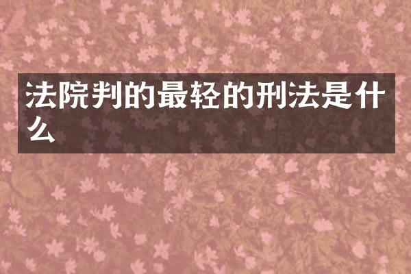 法院判的最轻的刑法是什么