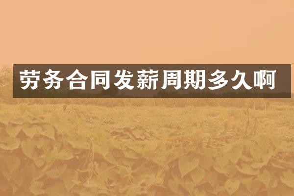 劳务合同发薪周期多久啊