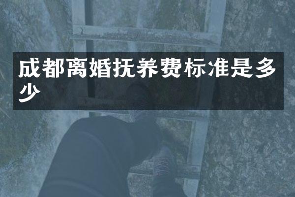 成都离婚抚养费标准是多少