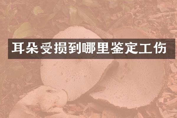 耳朵受损到哪里鉴定工伤