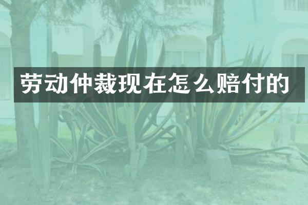 劳动仲裁现在怎么赔付的