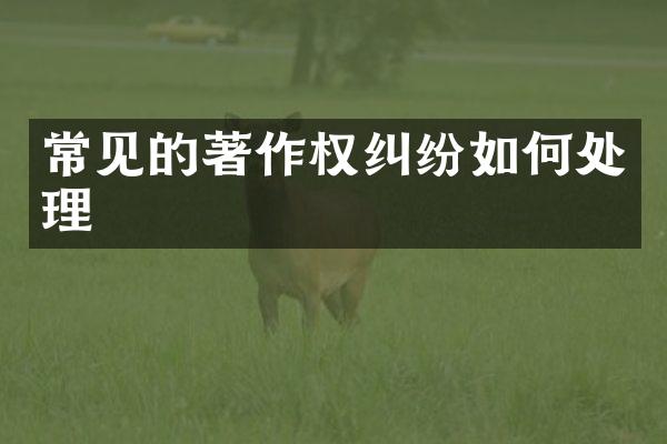 常见的著作权纠纷如何处理
