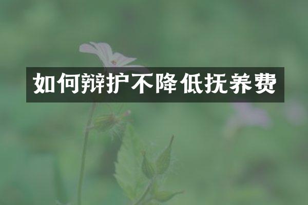 如何辩护不降低抚养费