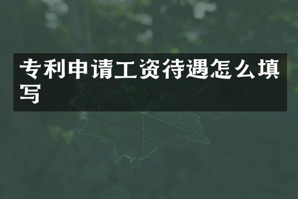专利申请工资待遇怎么填写