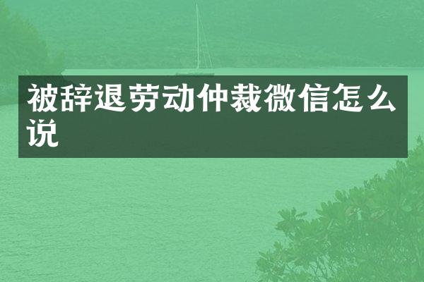 被辞退劳动仲裁微信怎么说
