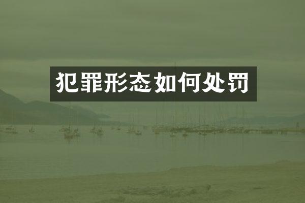 犯罪形态如何处罚
