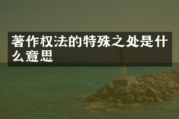 著作权法的特殊之处是什么意思