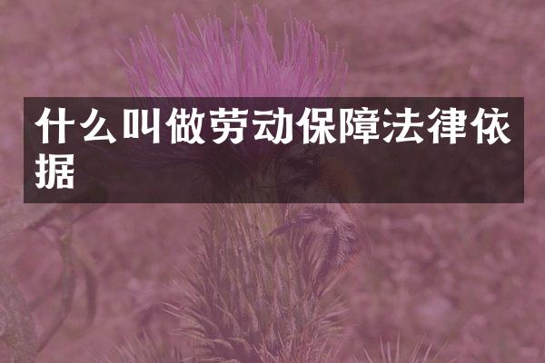 什么叫做劳动保障法律依据
