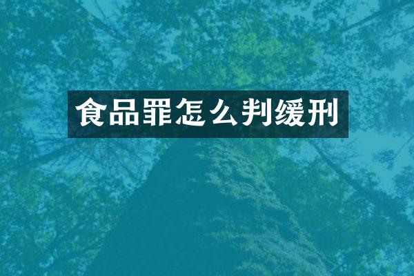 食品罪怎么判缓刑