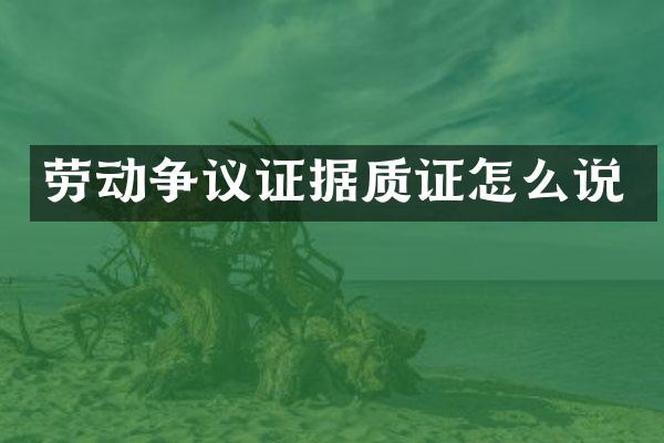 劳动争议证据质证怎么说