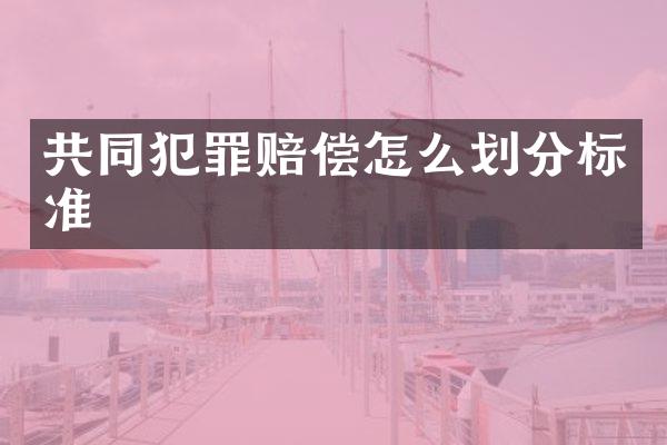 共同犯罪赔偿怎么划分标准