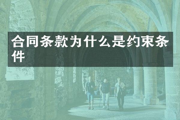 合同条款为什么是约束条件