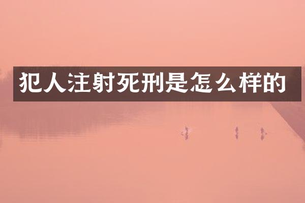 犯人注射死刑是怎么样的