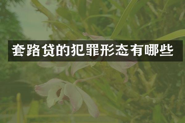 套路贷的犯罪形态有哪些