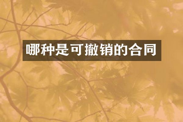 哪种是可撤销的合同