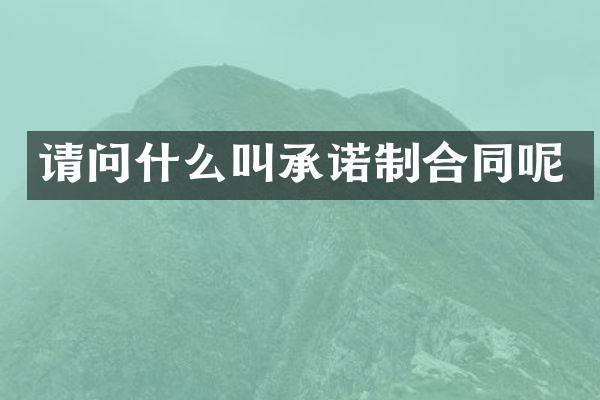 请问什么叫承诺制合同呢