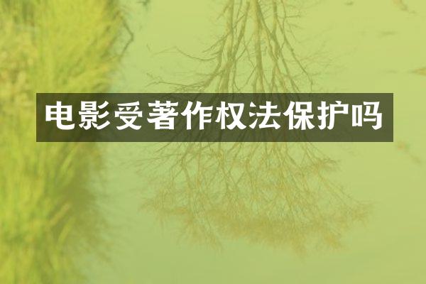 电影受著作权法保护吗
