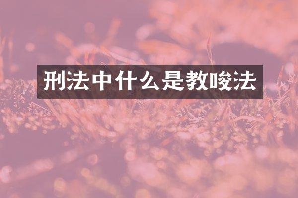 刑法中什么是教唆法