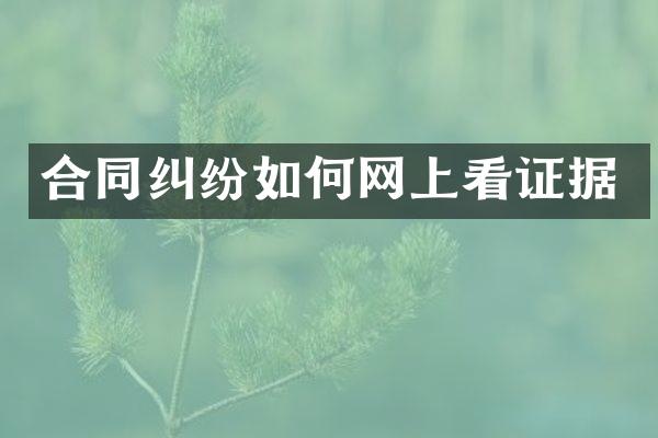 合同纠纷如何网上看证据