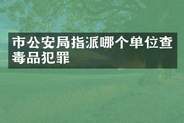 市公安局指派哪个单位查犯罪
