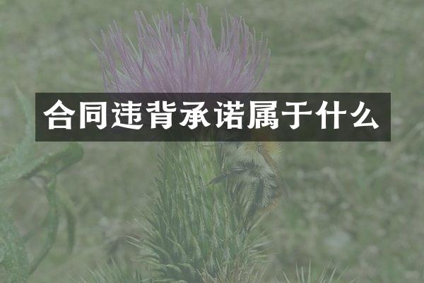 合同违背承诺属于什么
