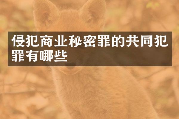 侵犯商业秘密罪的共同犯罪有哪些