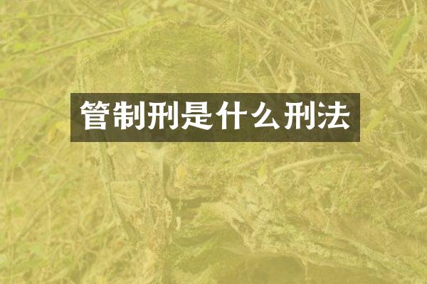 管制刑是什么刑法