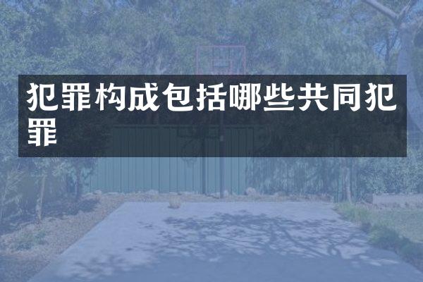 犯罪构成包括哪些共同犯罪