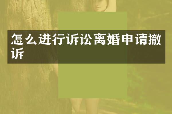 怎么进行诉讼离婚申请撤诉