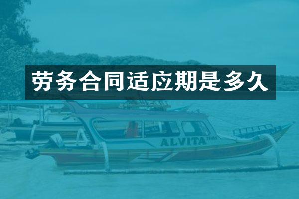 劳务合同适应期是多久
