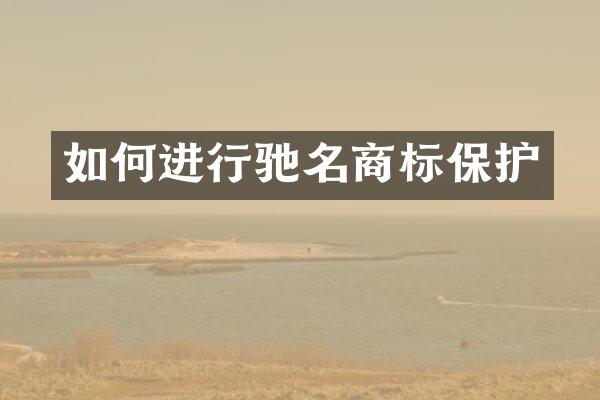 如何进行驰名商标保护