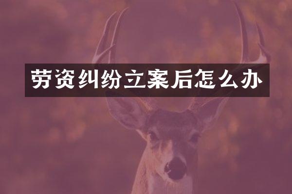 劳资纠纷立案后怎么办