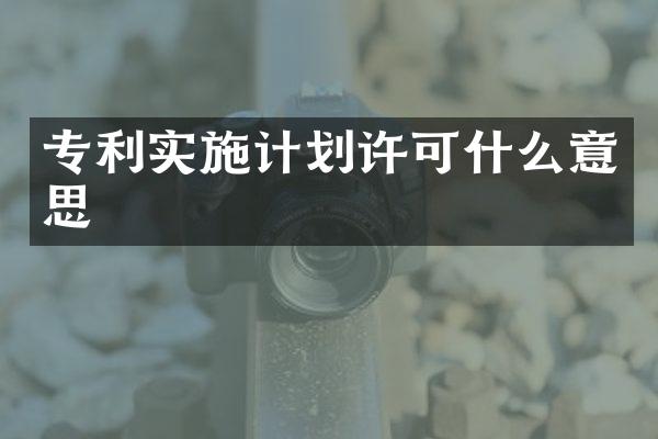 专利实施计划许可什么意思