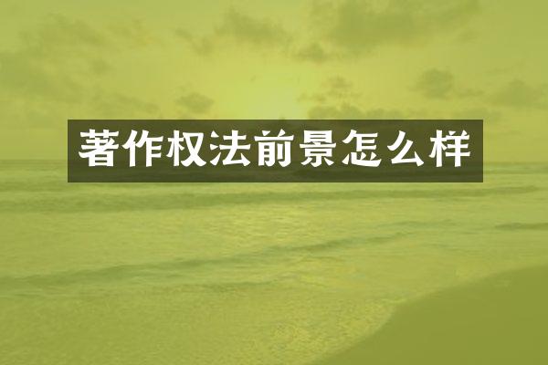 著作权法前景怎么样