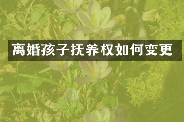离婚孩子抚养权如何变更